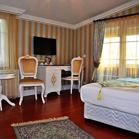 Alyon Taksim فندق اسطنبول