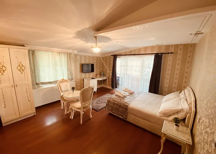 Hotel Alyon Taksim Provincia di Istanbul