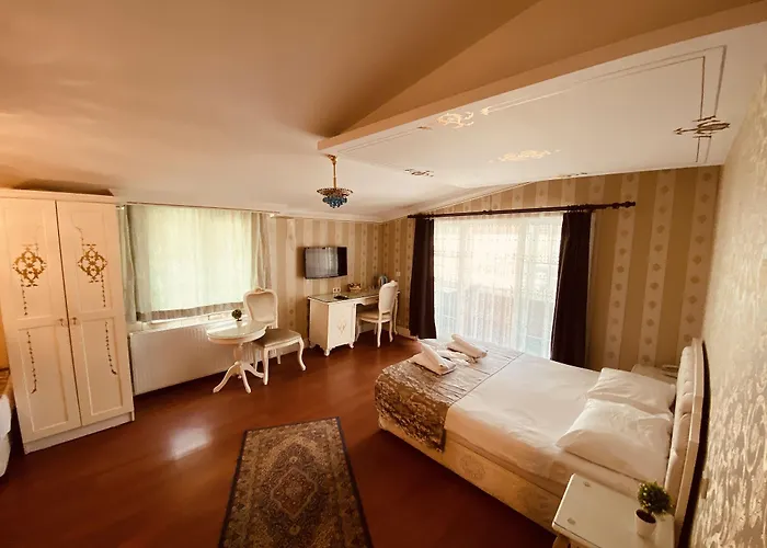 Alyon Taksim Provincia di Istanbul