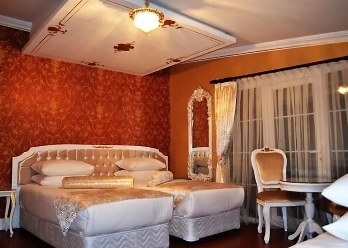 Alyon Taksim Provincia di Istanbul