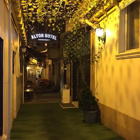 酒店 Alyon Taksim 3*